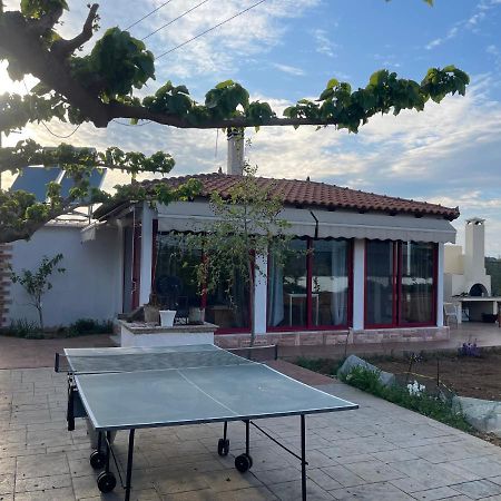 Country Lux Apartment Near Airport Markopoulo Mesogaias Экстерьер фото