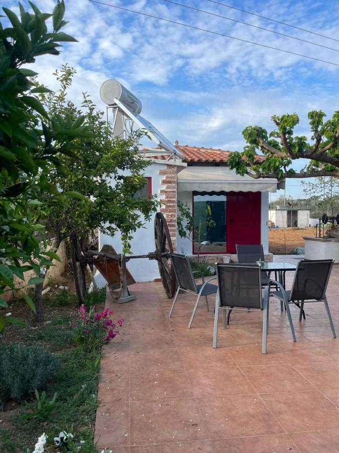 Country Lux Apartment Near Airport Markopoulo Mesogaias Экстерьер фото