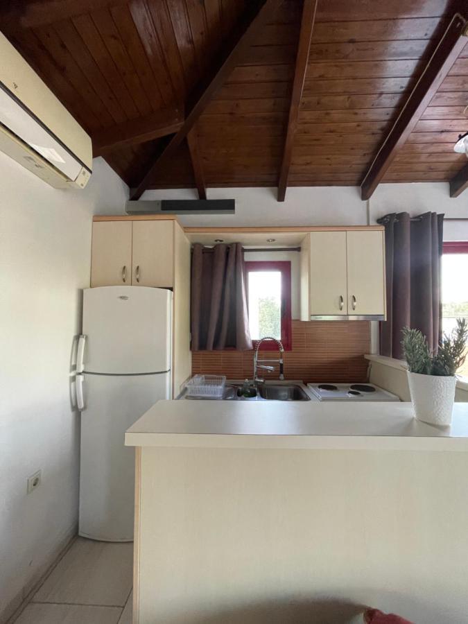 Country Lux Apartment Near Airport Markopoulo Mesogaias Экстерьер фото