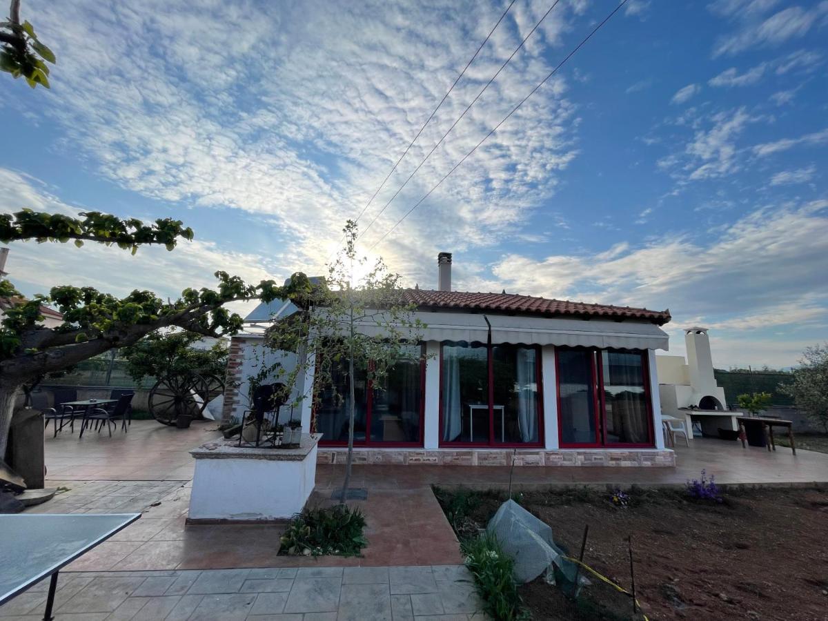 Country Lux Apartment Near Airport Markopoulo Mesogaias Экстерьер фото