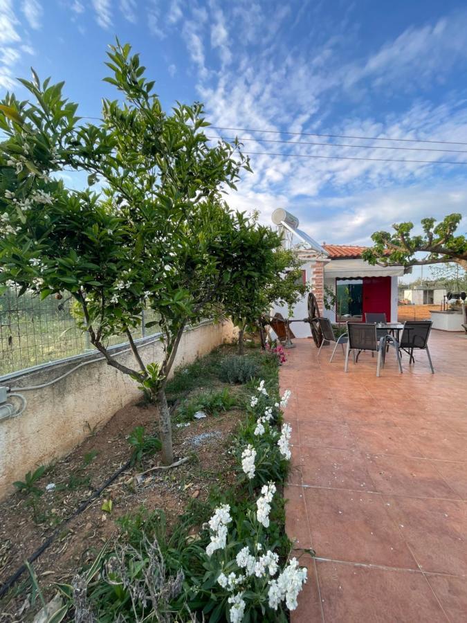 Country Lux Apartment Near Airport Markopoulo Mesogaias Экстерьер фото